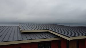 Best Rubber Roofing (EPDM, TPO)  in Deer Park, NY